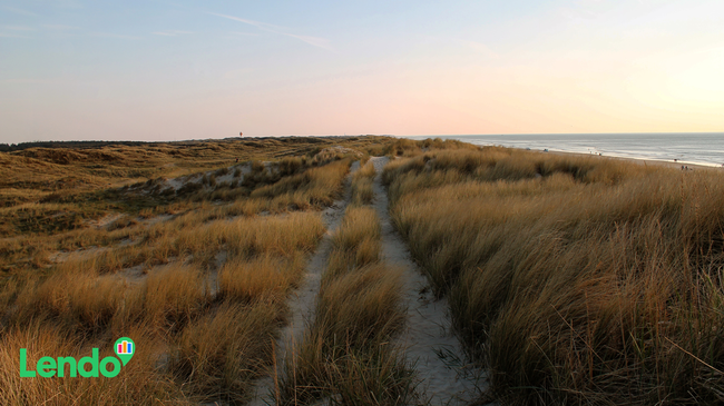 Lendo – Din Guide Til At Finde Det Bedste Lån